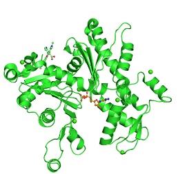 Molecular component3.jpg